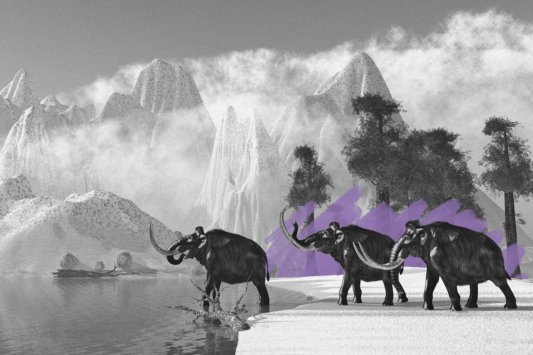 Herd of woolly mammoths