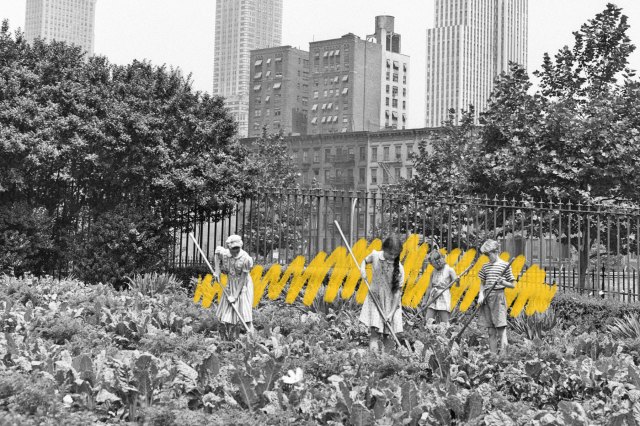 Victory garden, 1943