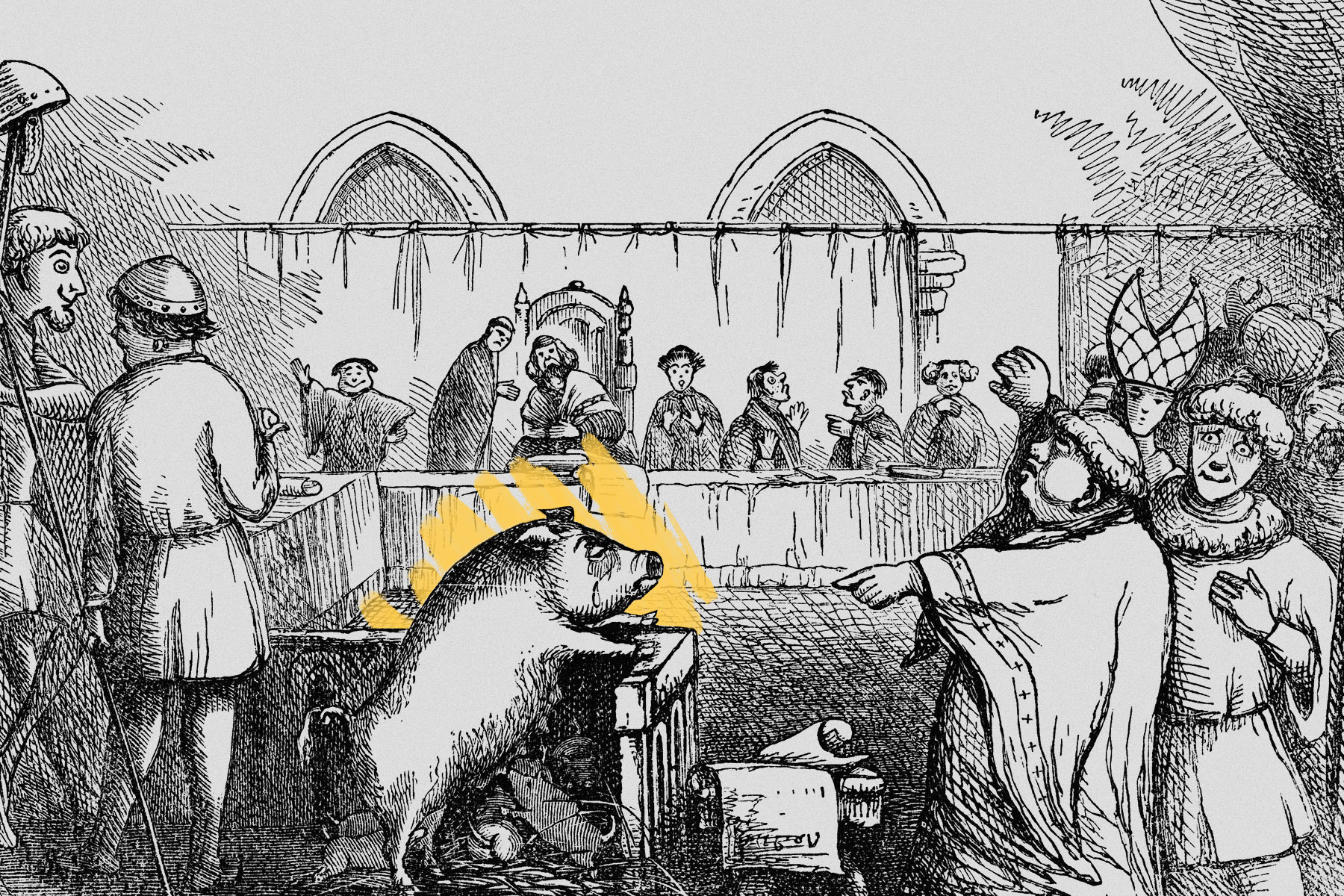 Pig on trial for murder