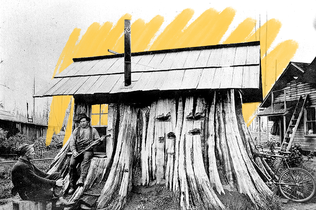 Cedar stump house, Edgecomb, Washington